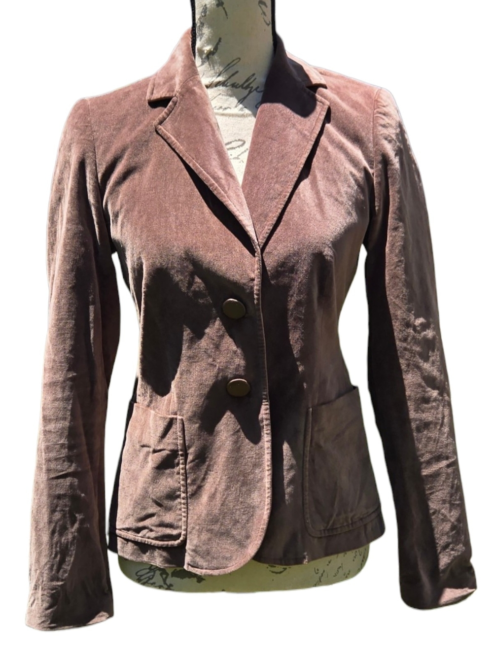 Vintage Banana Republic Velvet Blazer Sz 2